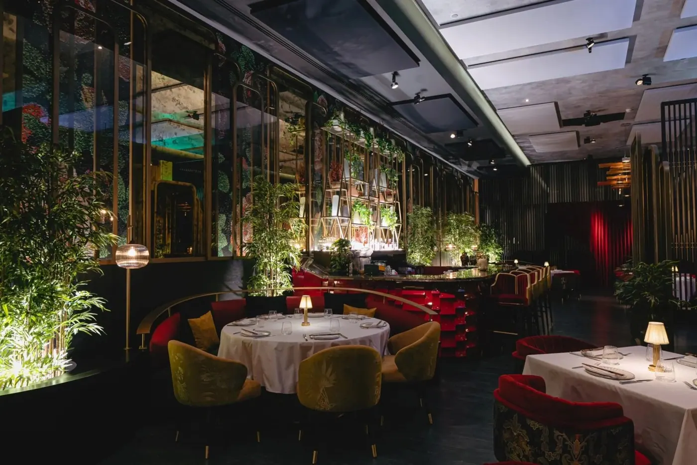 Toki Restaurant — view 5 of 6