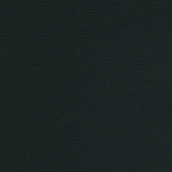 Arlo — leather upholstery finish swatch