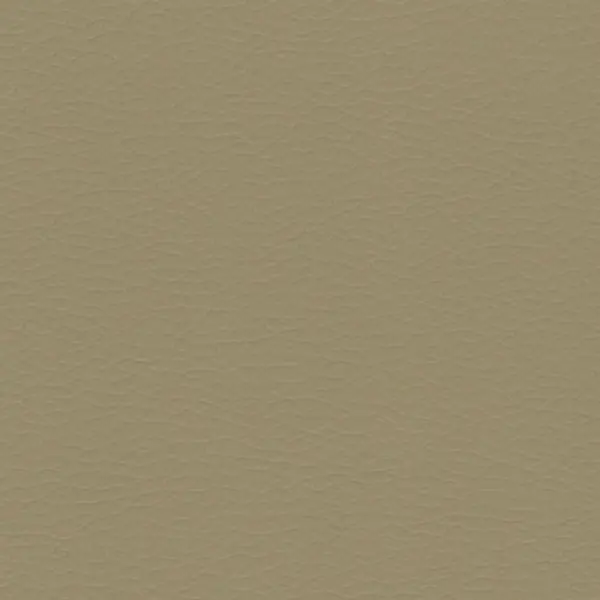 Cairo — leather upholstery finish swatch