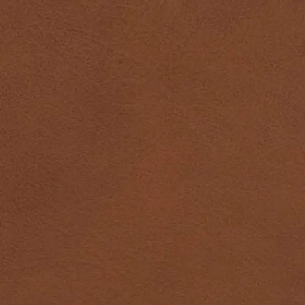 Milo — leather upholstery finish swatch