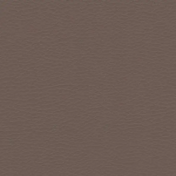 Vigo — leather upholstery finish swatch