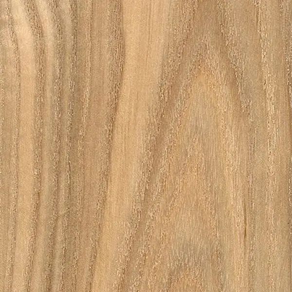 Ash — indoor wood finish swatch