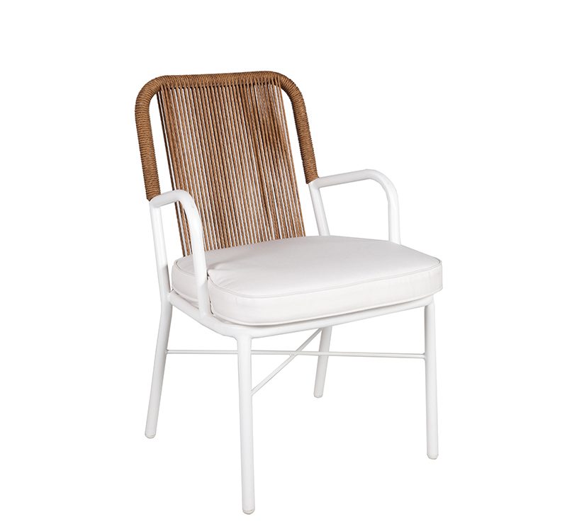 Axis Dining Armchair