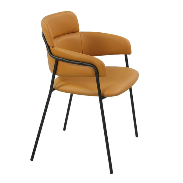 Handicap Dining Armchair