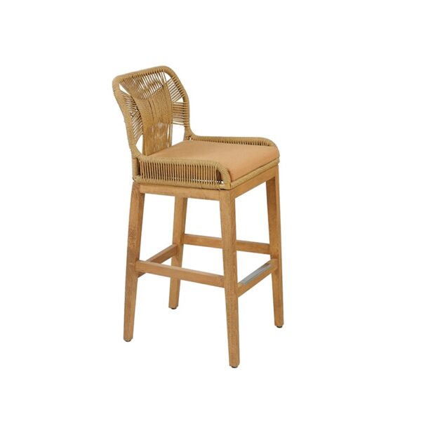 Nelson Semistool With Back